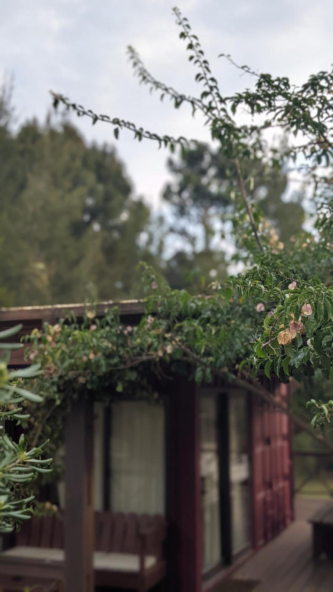 Piriápolis Resort 77 מראה חיצוני תמונה