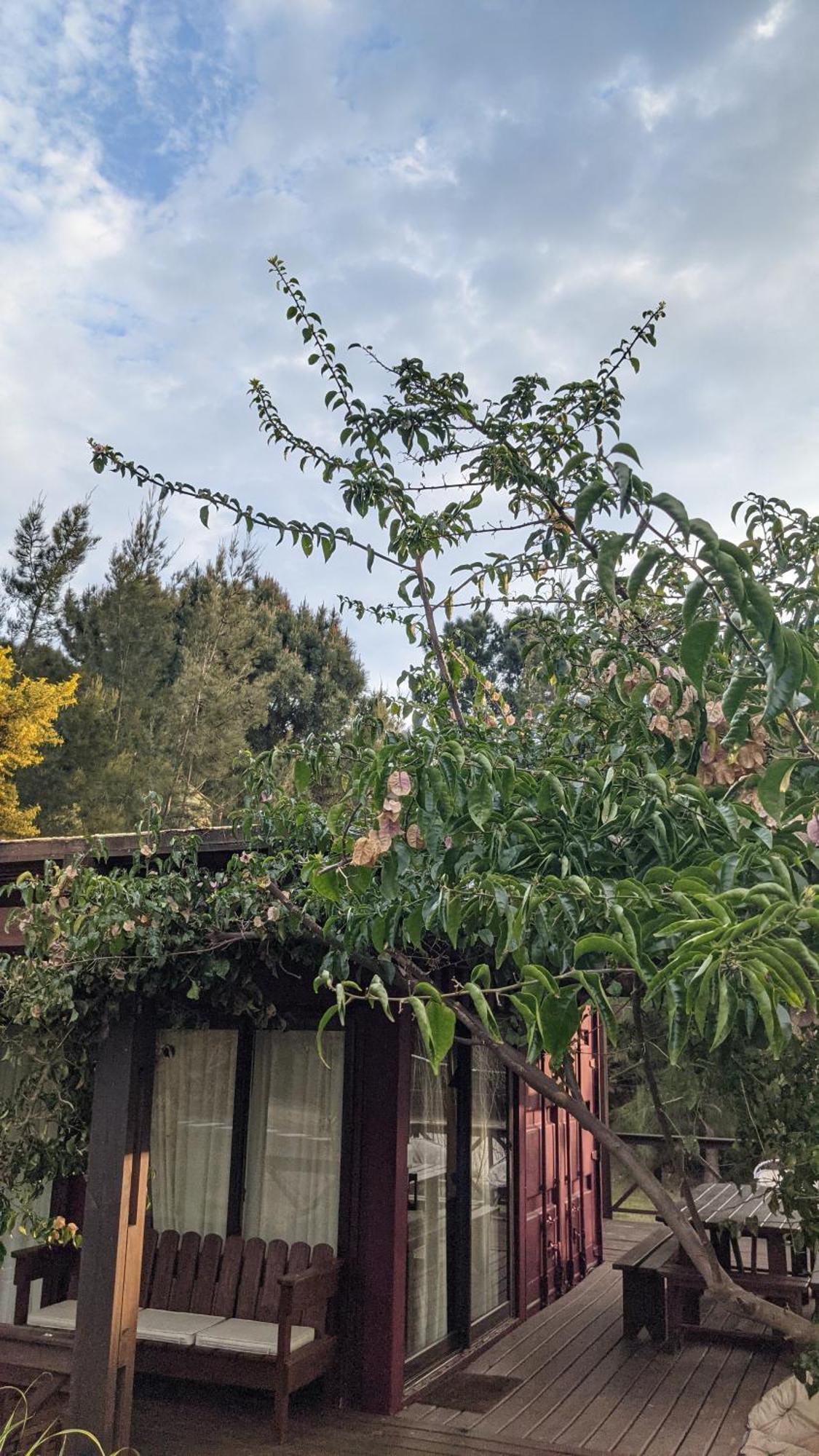 Piriápolis Resort 77 מראה חיצוני תמונה